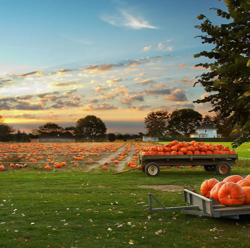 Apple Butter Festival 3