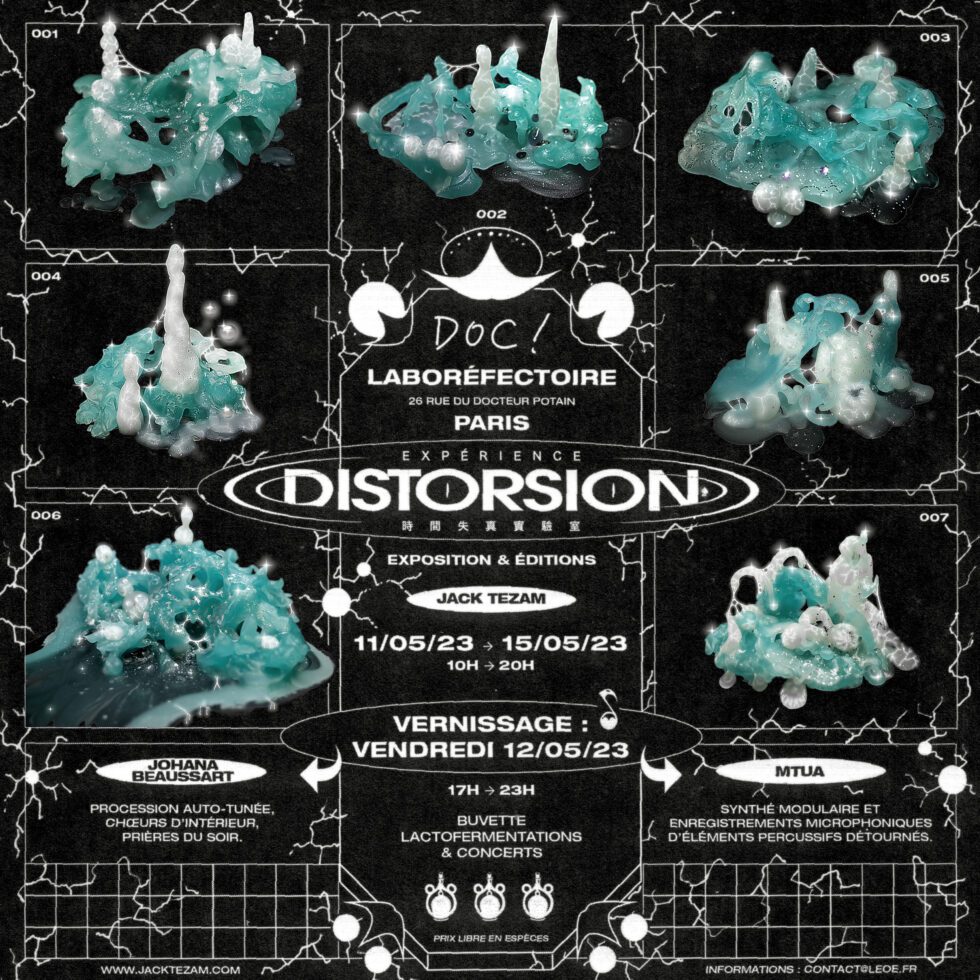 Expérience Distorsion - Exposition & Editions 1