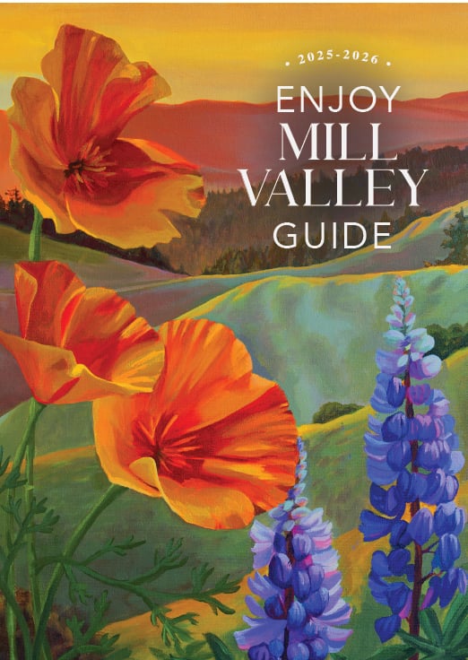 Mill Valley Chamber of Commerce and Visitors Center 1
