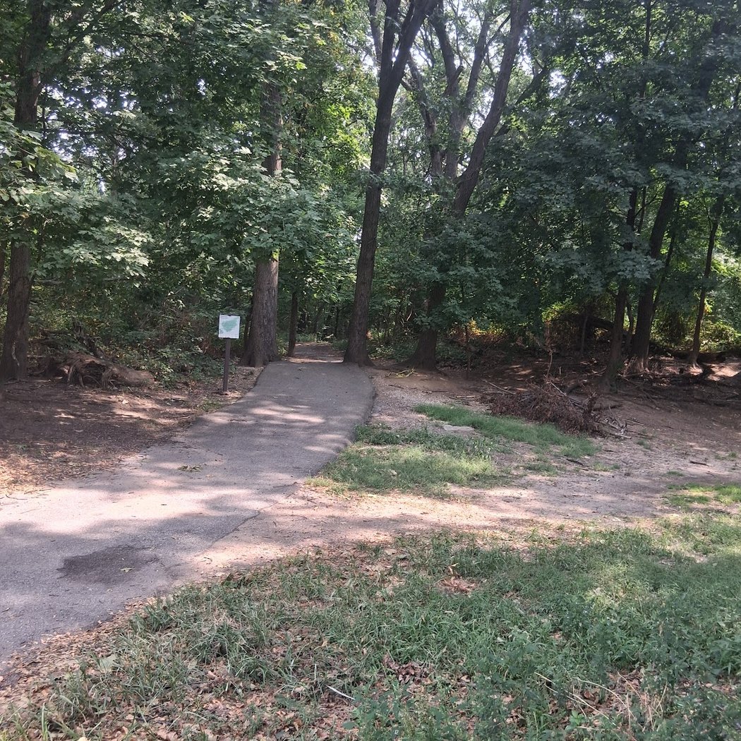Forest Park Playground 3