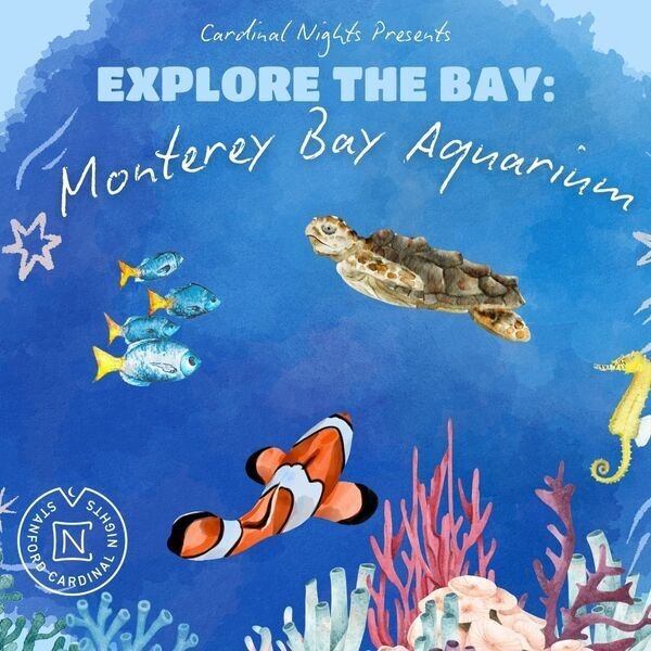Explore the Bay: Monterey Bay Aquarium 1