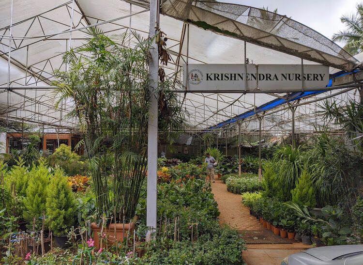 Krishnendra Nursery 3