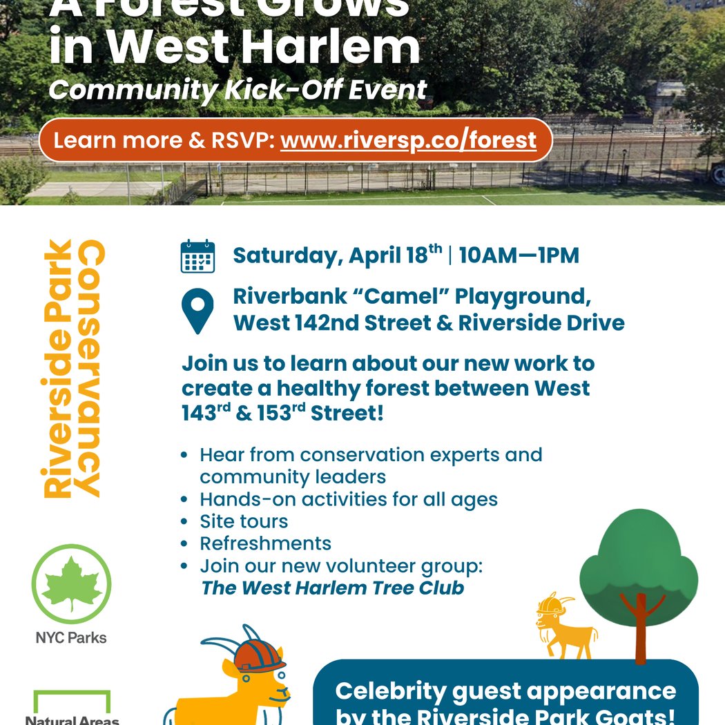 A Forest Grows in West Harlem: Community Kick-Off Event 1