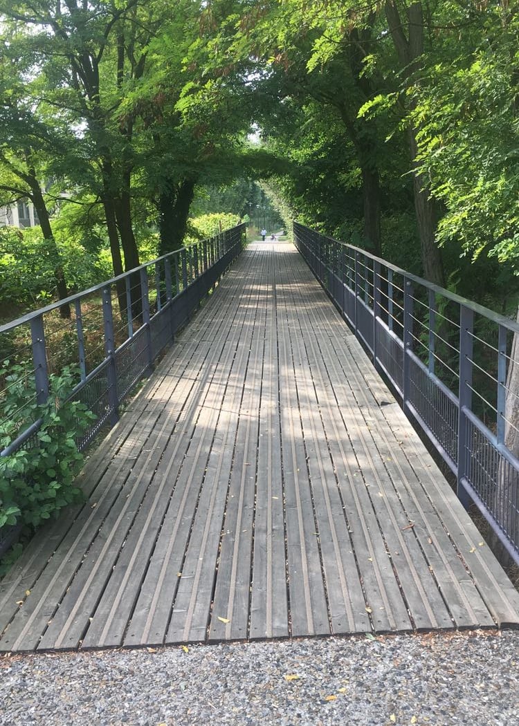 Bois de Bondy 3