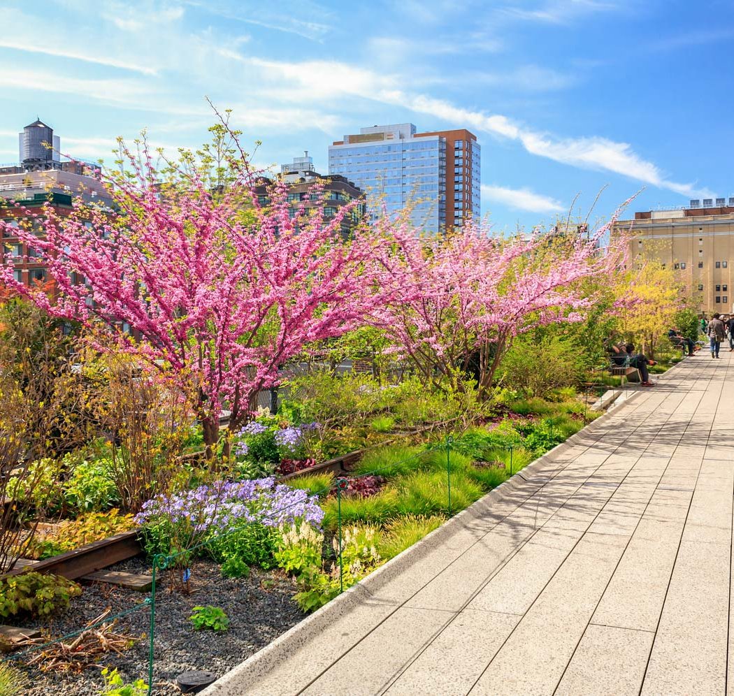 High Line Tour: From Freight to Flowers 1