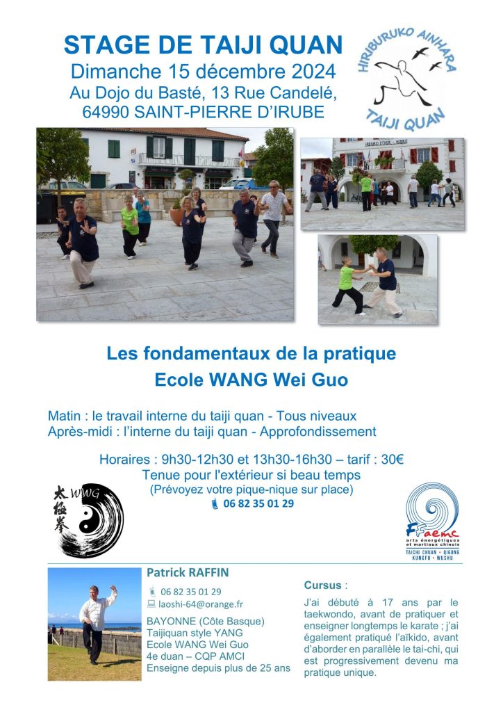 Stage Taijiquan 1
