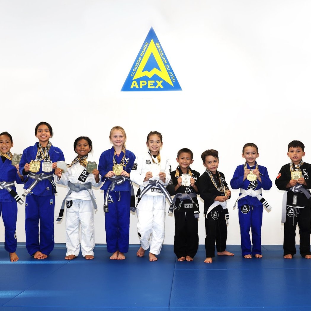 Apex Brazilian Jiu Jitsu Academy Vacaville 1