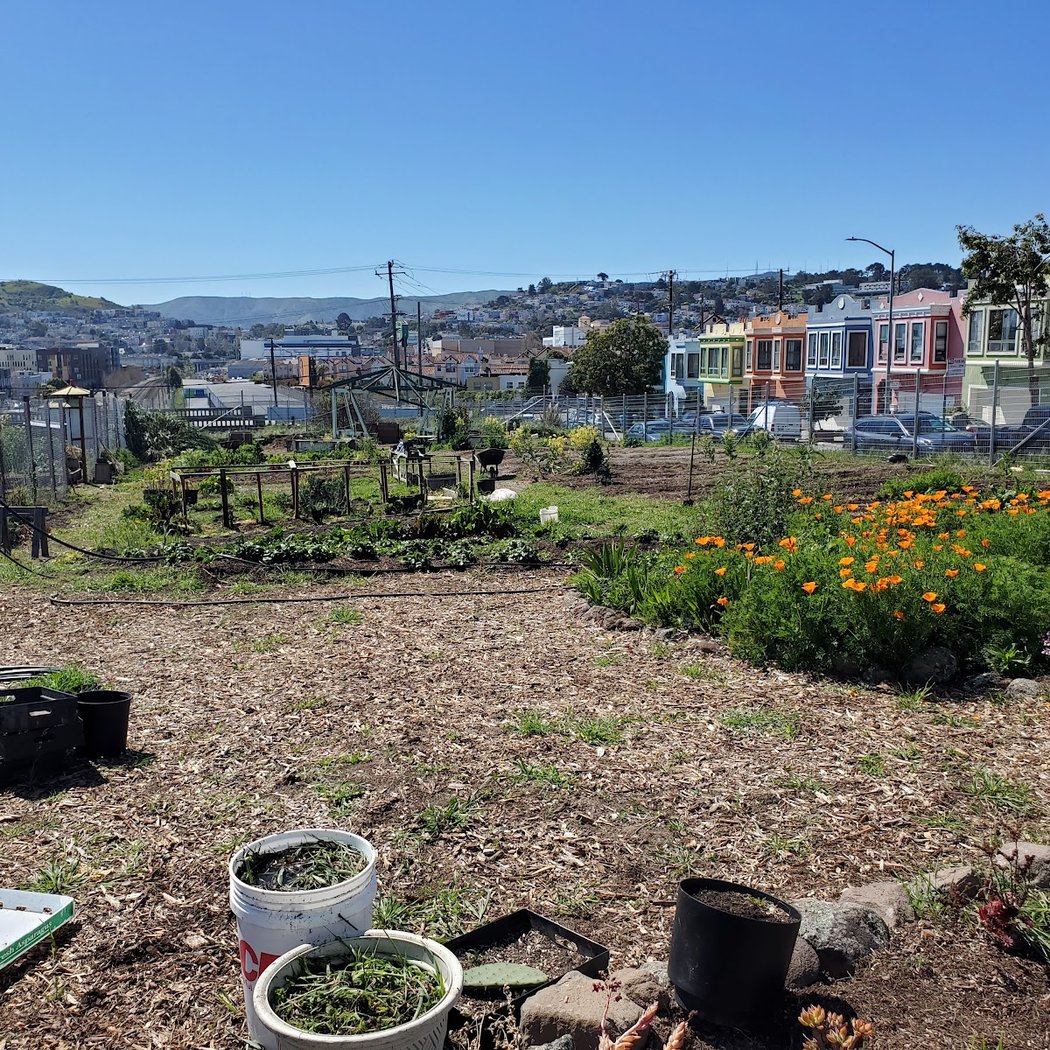 Florence Fang Community Farm 2