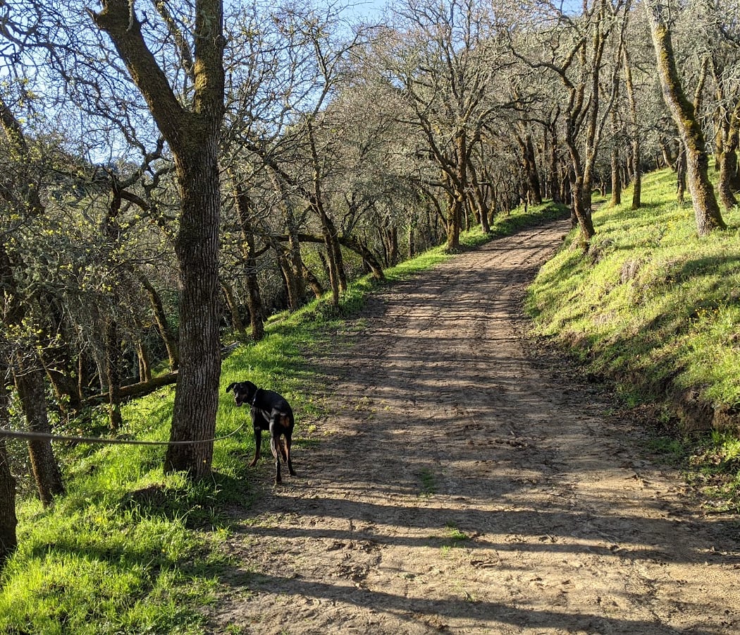 Briones Regional Park 3