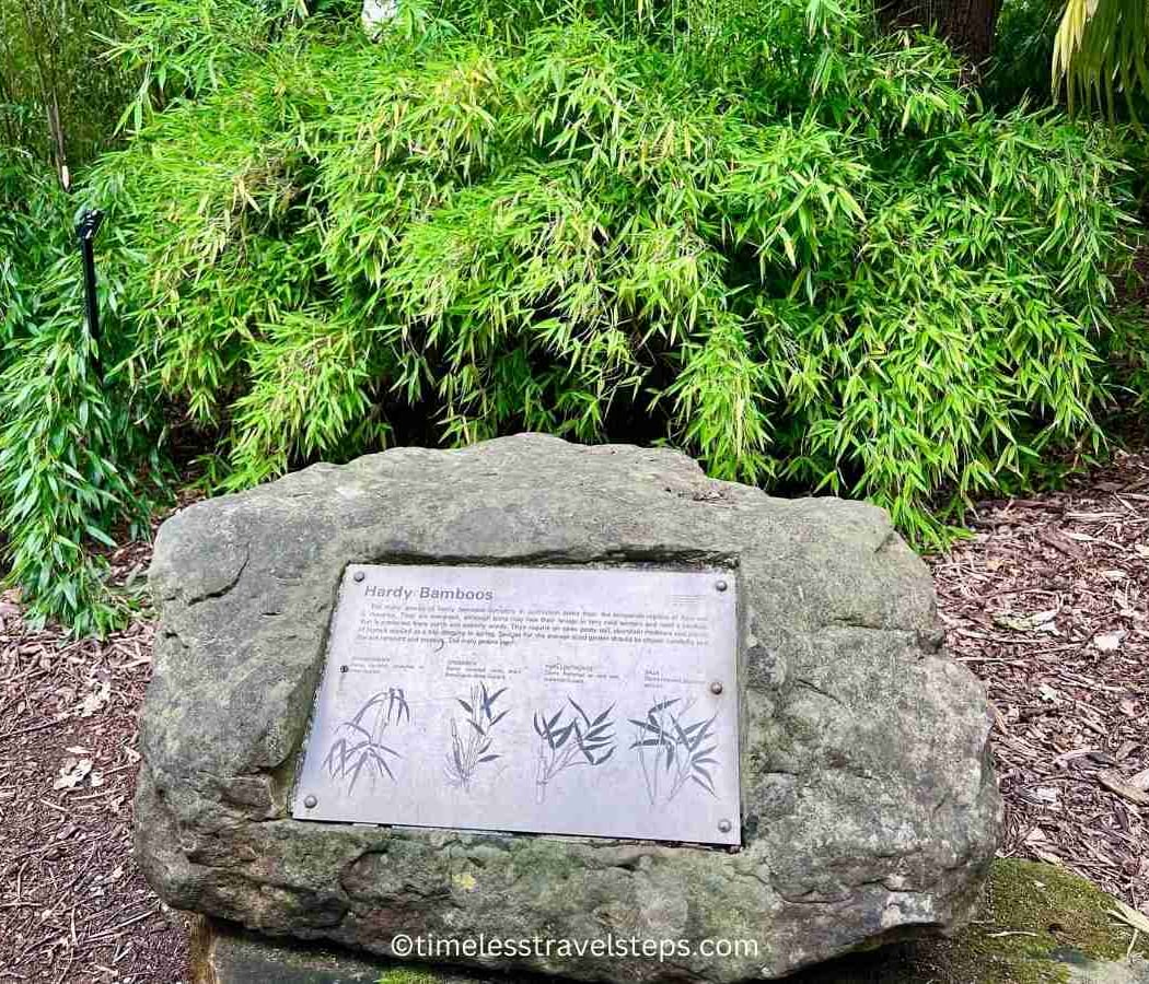 Bamboo Garden and Japanese Minka House 4