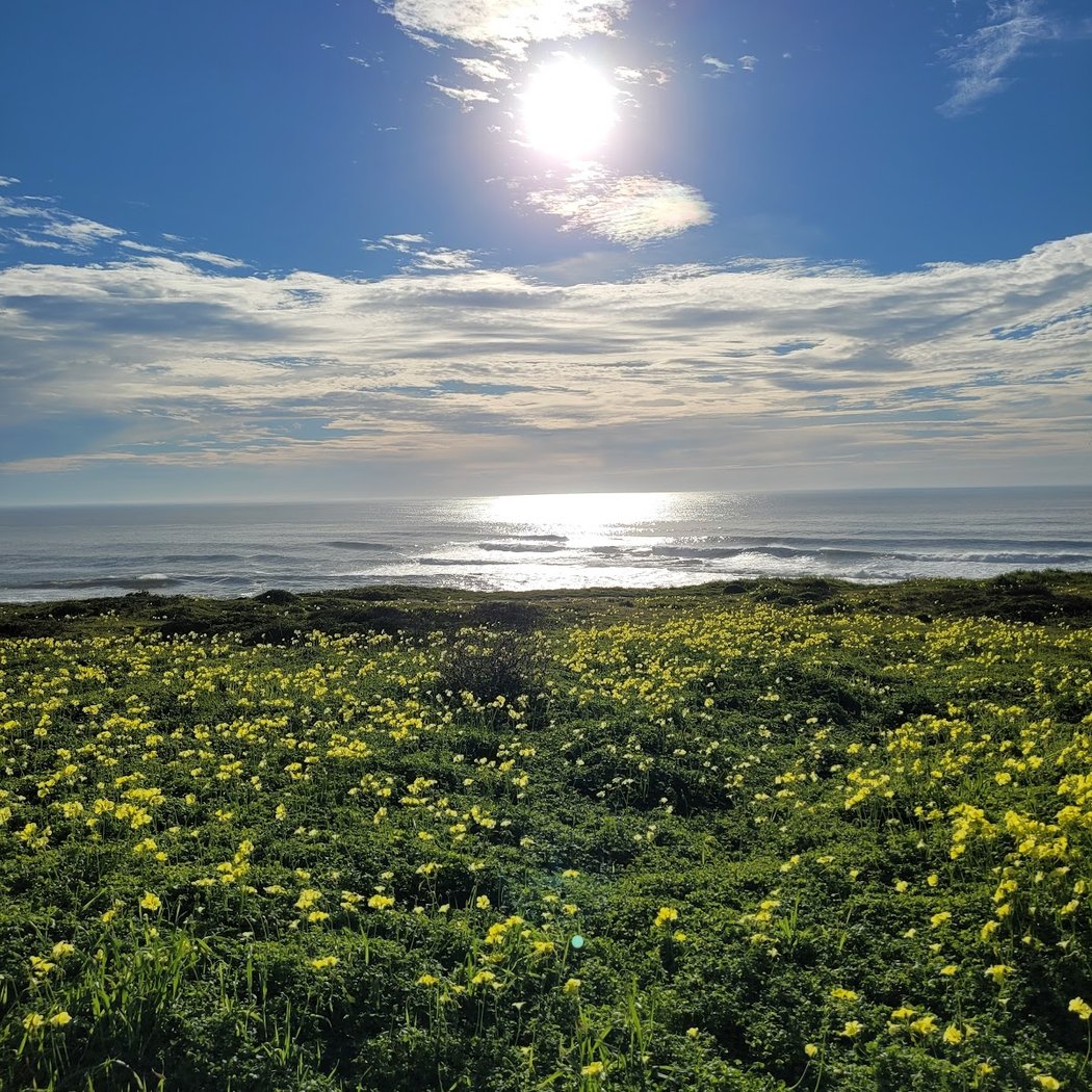 Bluff Trail 2