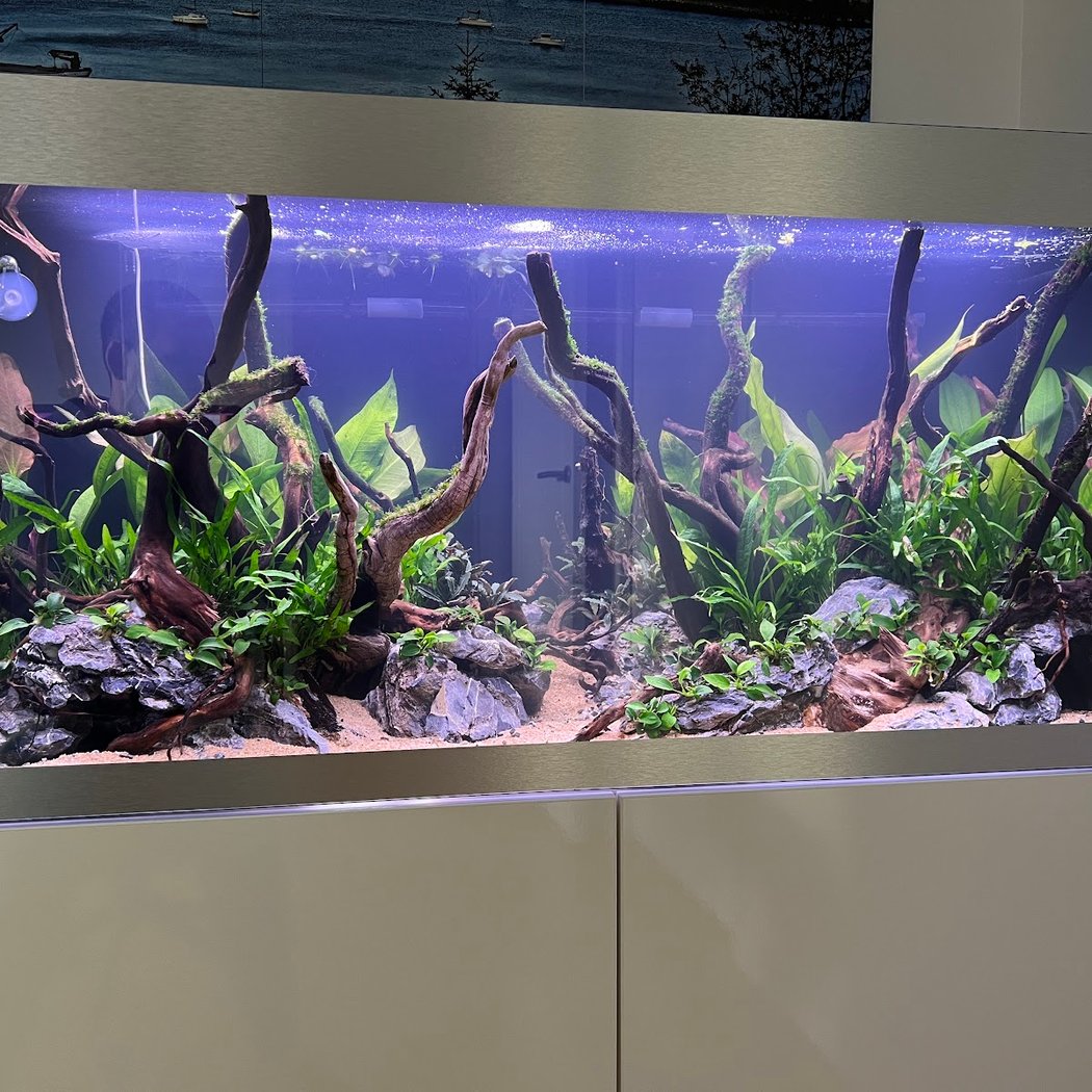 Aquarium Design Paris : conception et installation d'aquariums 2
