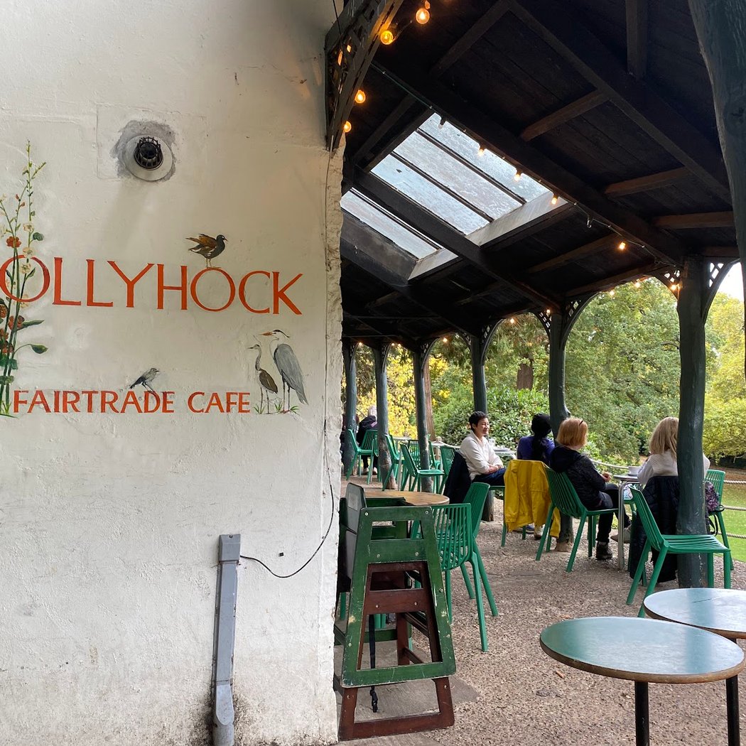 Hollyhock Vegetarian Fairtrade Cafe 3
