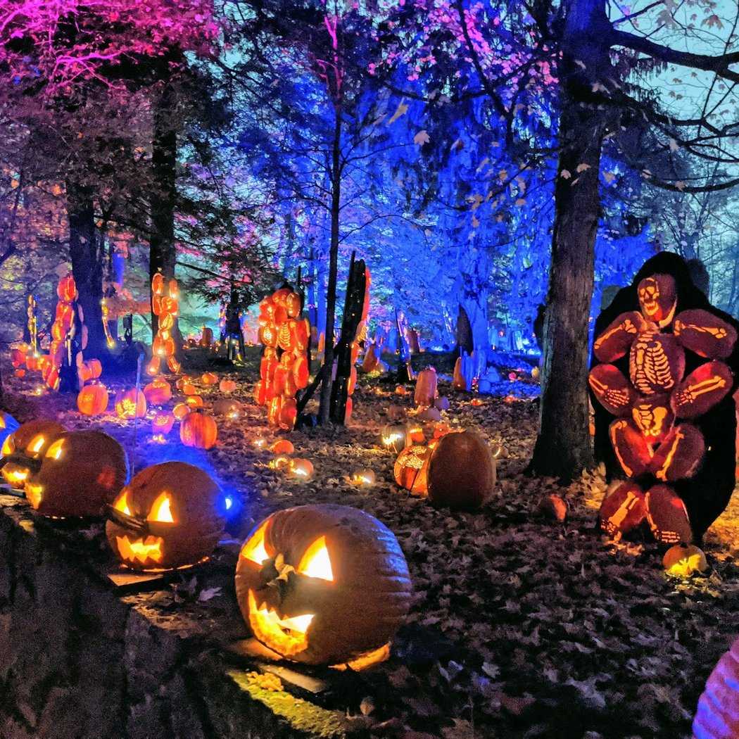 The Great Jack O’Lantern Blaze 3