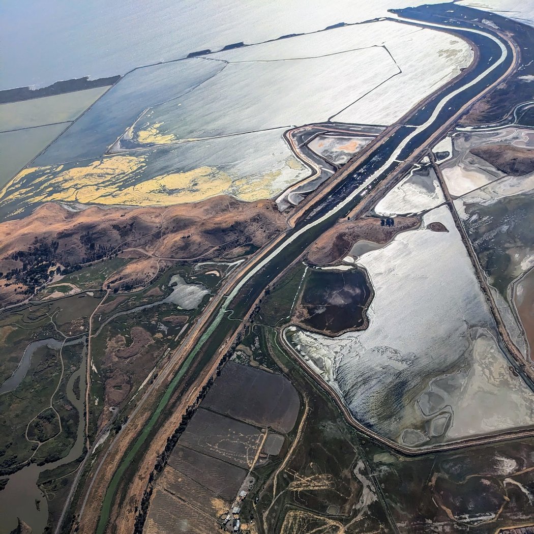 Eden Landing Ecological Reserve 1