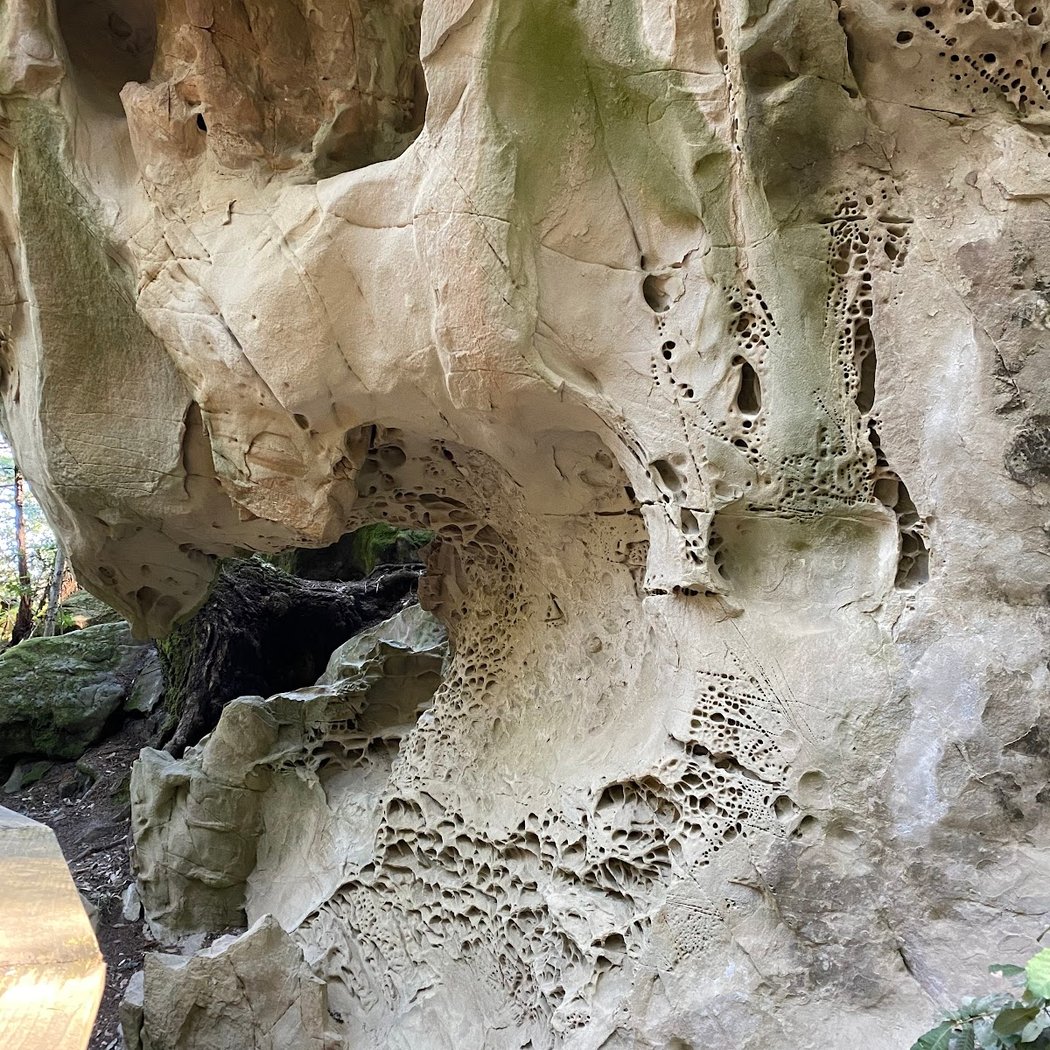 Tafoni Sandstone 3