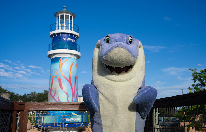 Shark Appreciation Week 3