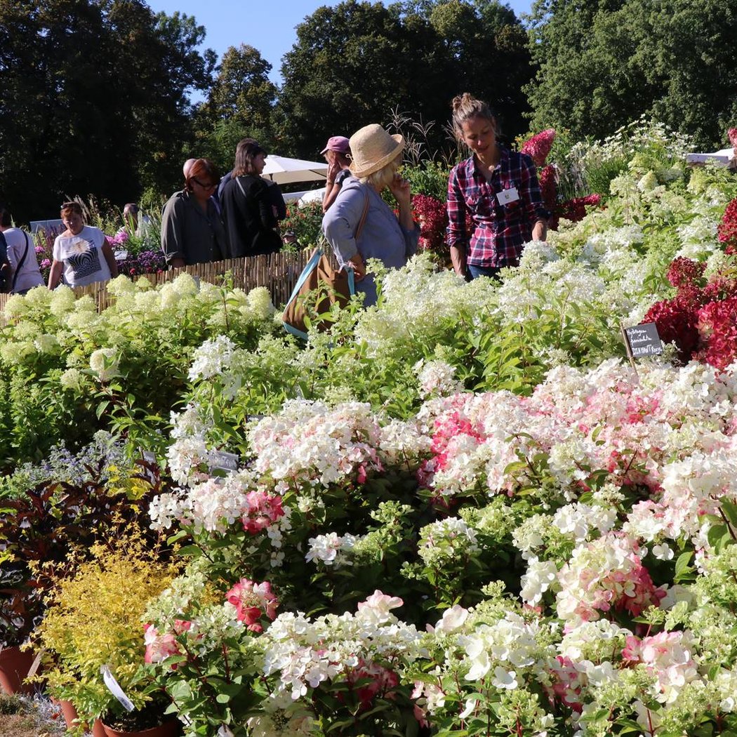 La Folie des Plantes 1