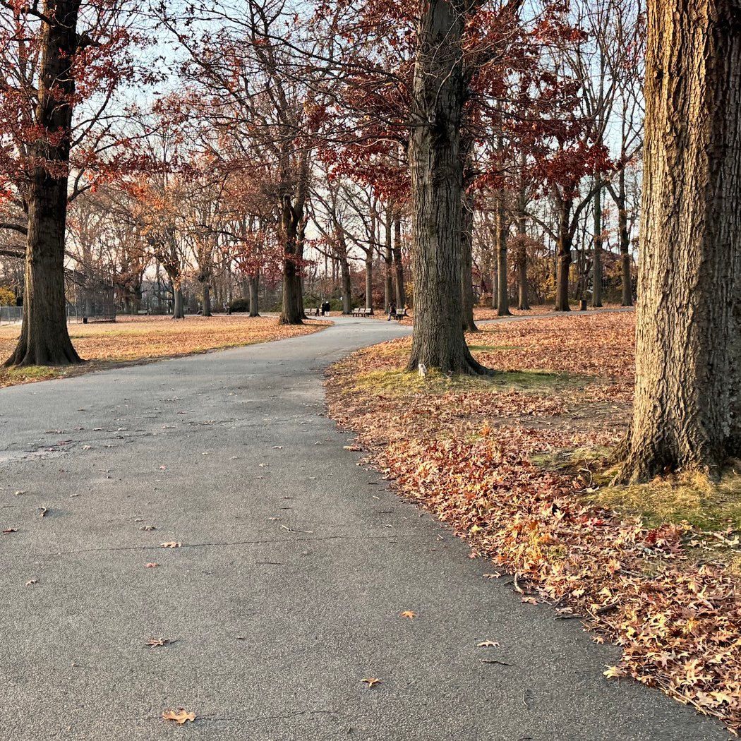 Alley Pond Park Trailhead - White Trail 1