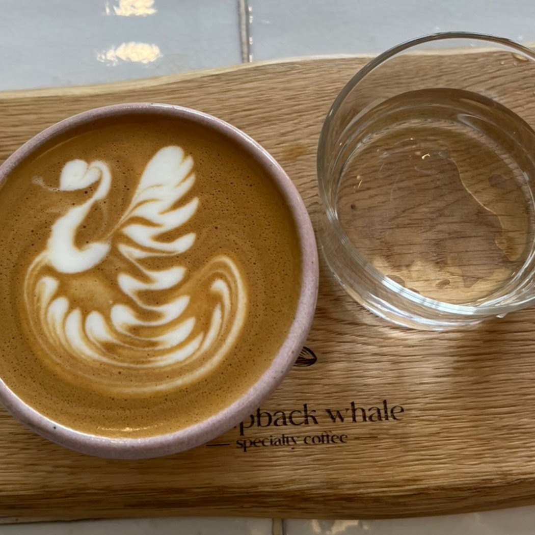 humpback whale specialty coffee