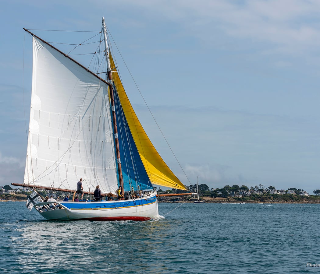 KROG E BARZ 1