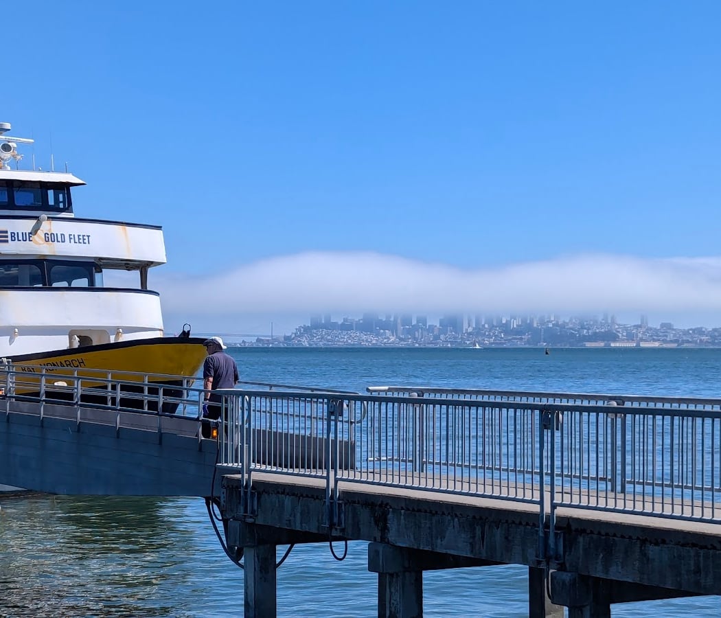 Sausalito Terminal Pier 1