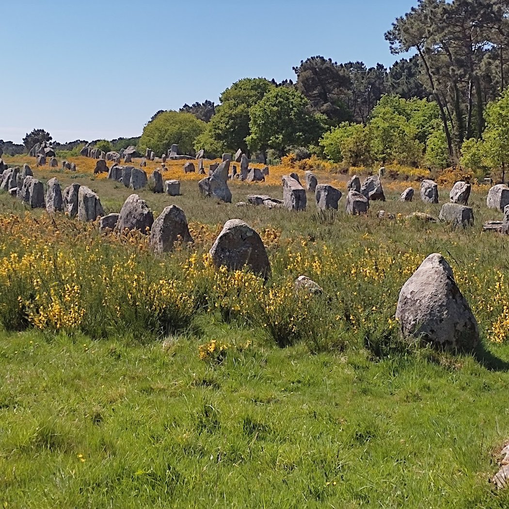 Alignements of Carnac 3