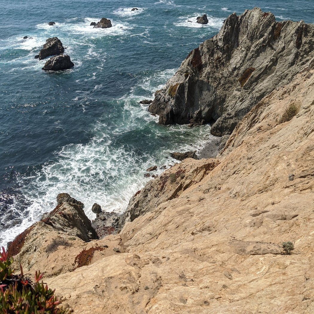 Volunteer Workday with California Native Plant Society 1