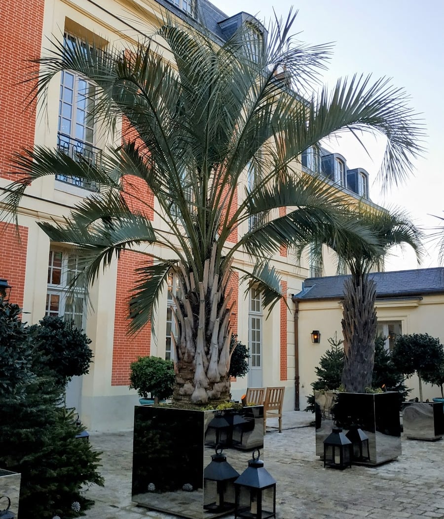 Saint-Louis 4
