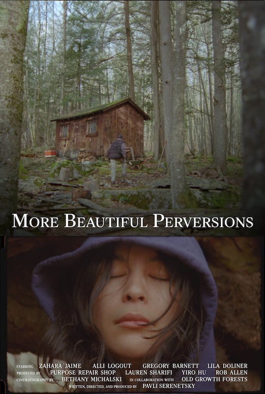 More Beautiful Perversions 1