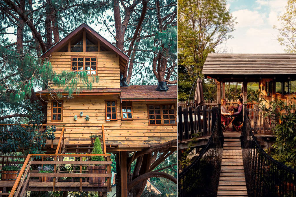 Swiss Family Treehouse 1992 1
