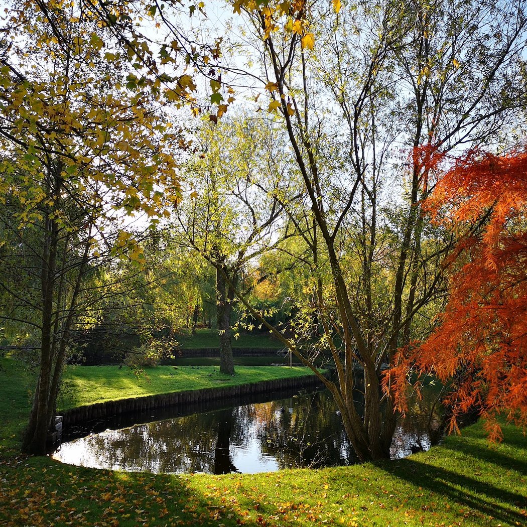Parc des Coudrays 1