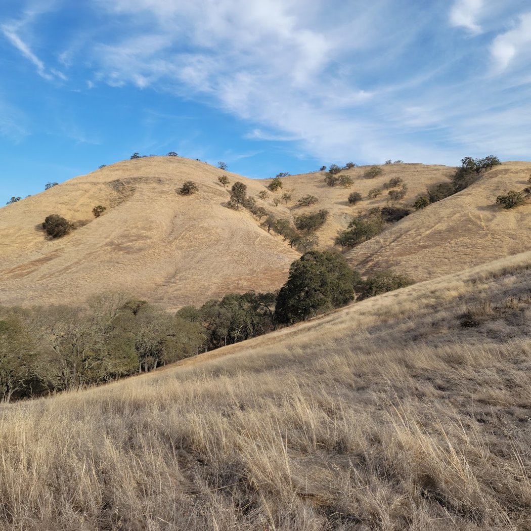 Old Borges Ranch 2