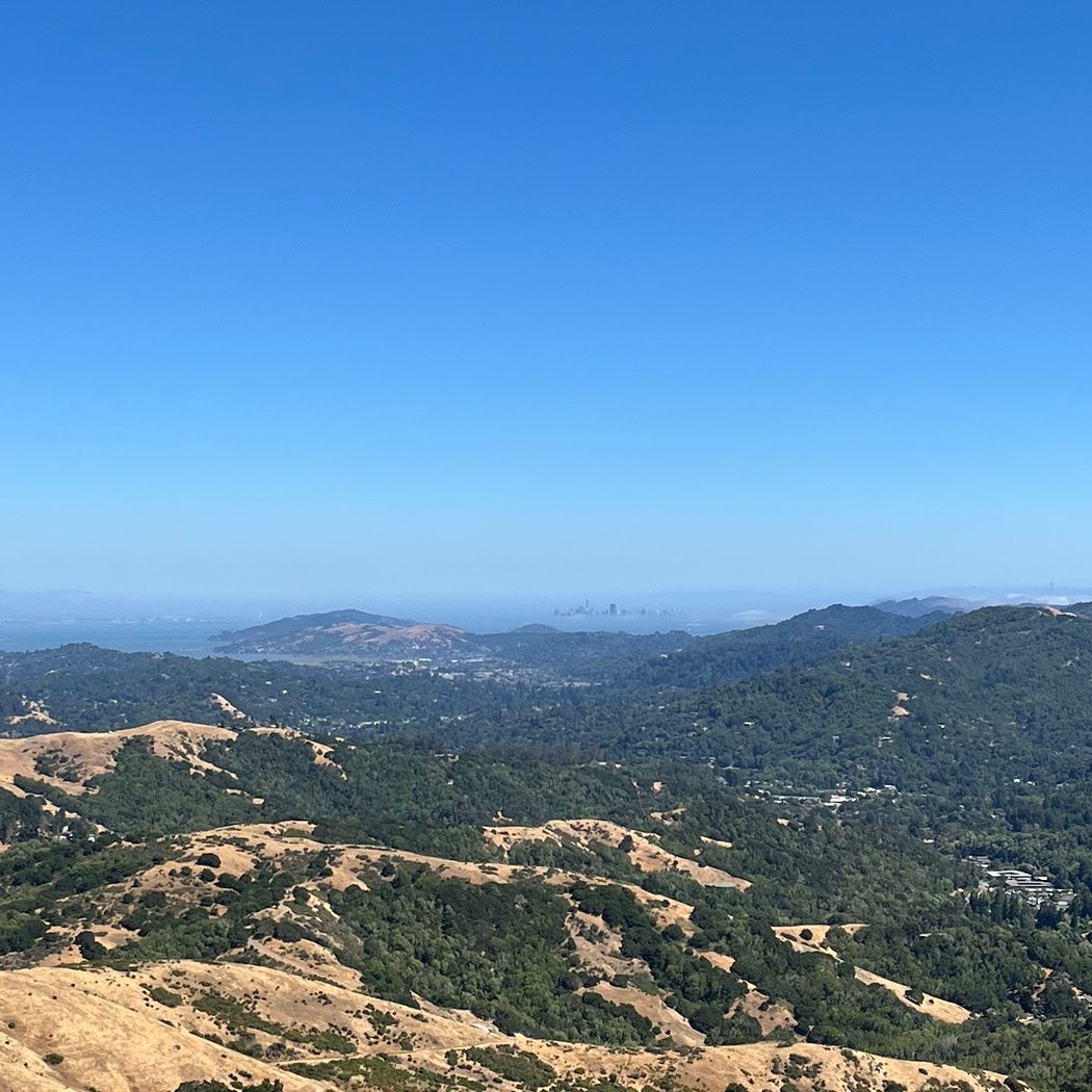 Mountain Bike SF — Guided Marin Singletrack Tour 3