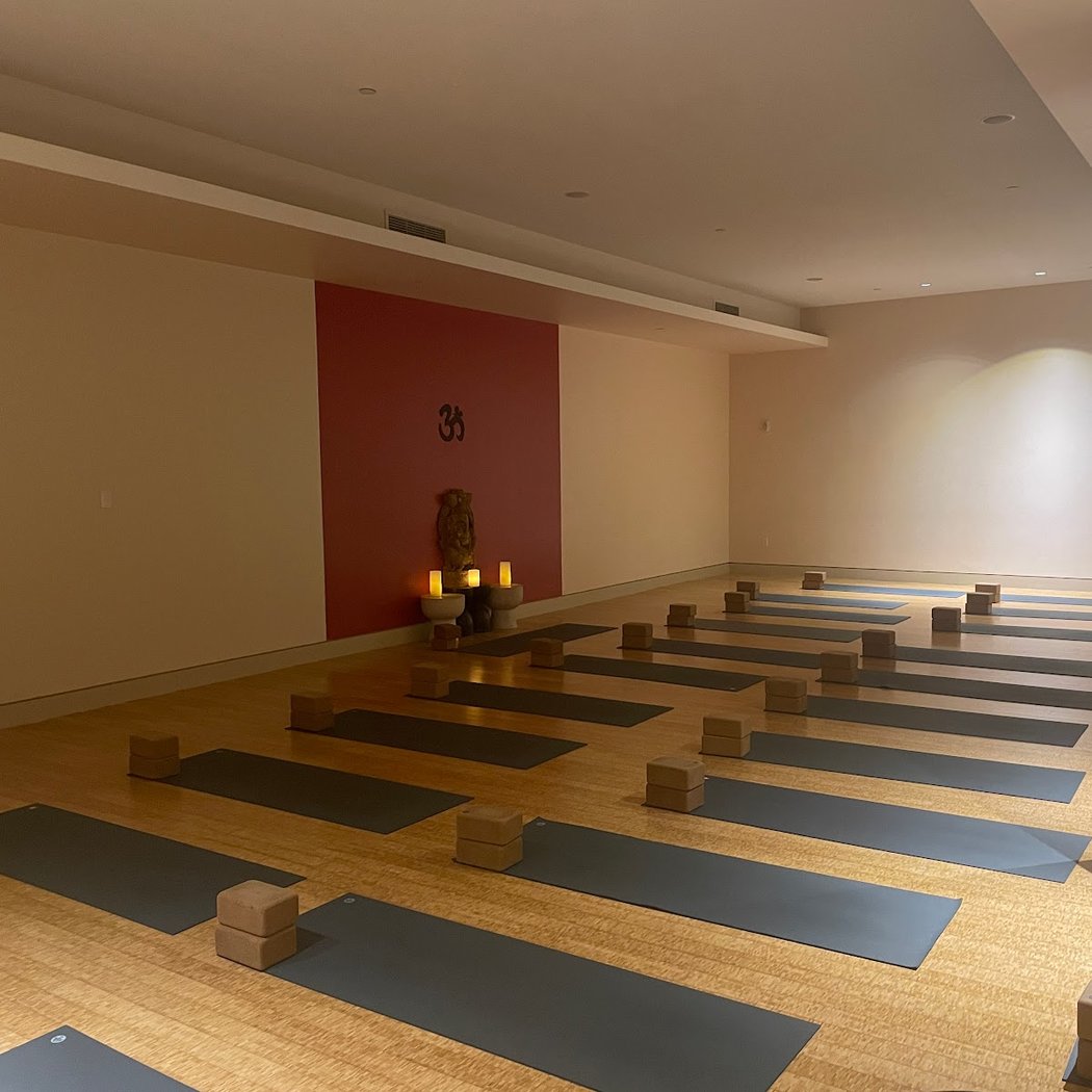 Pure Yoga 1