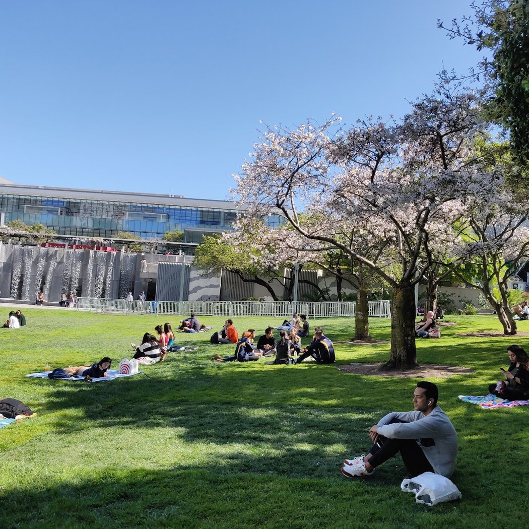 Outdoor Classes 3