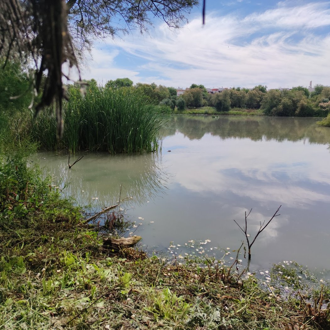 Laguna de Fuente del Rey 2