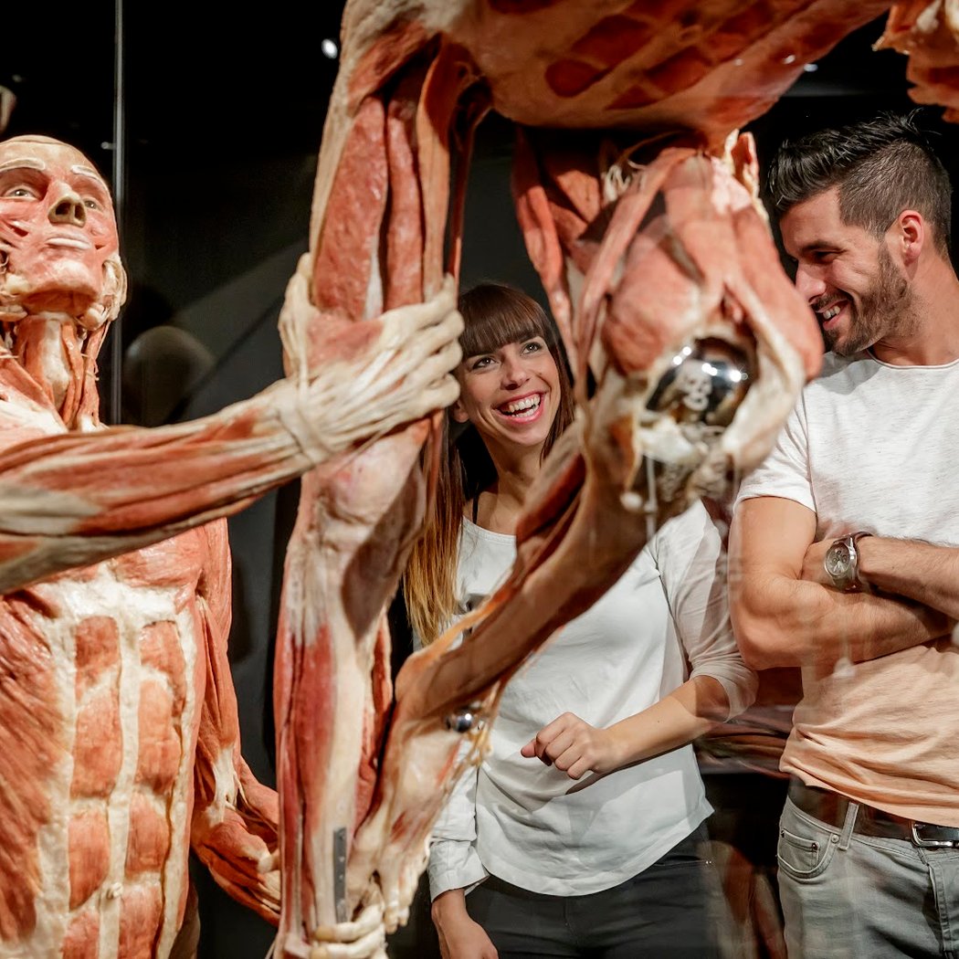 BODY WORLDS Amsterdam 2
