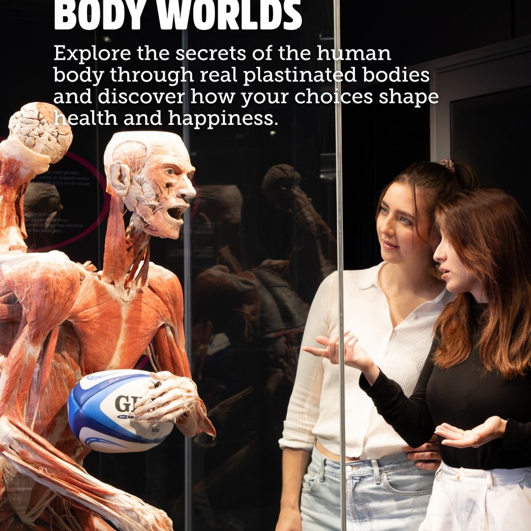 BODY WORLDS Amsterdam 1