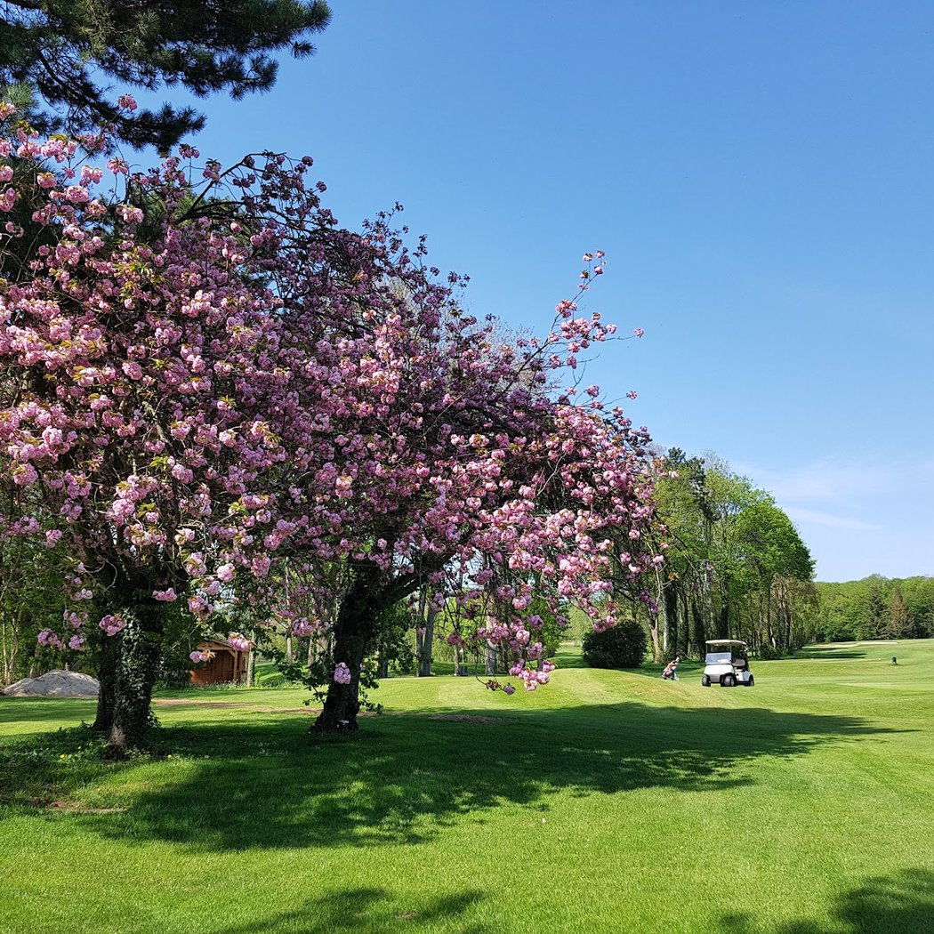 Golf Du Prieure 1