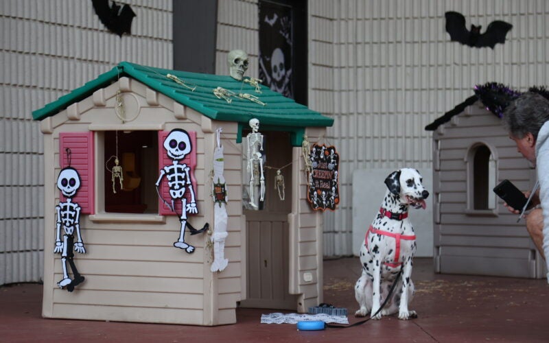 Howl-O-Ween 1