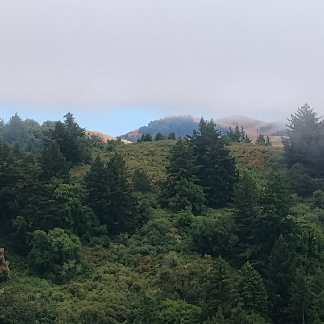 Hike at Windy Hill 3