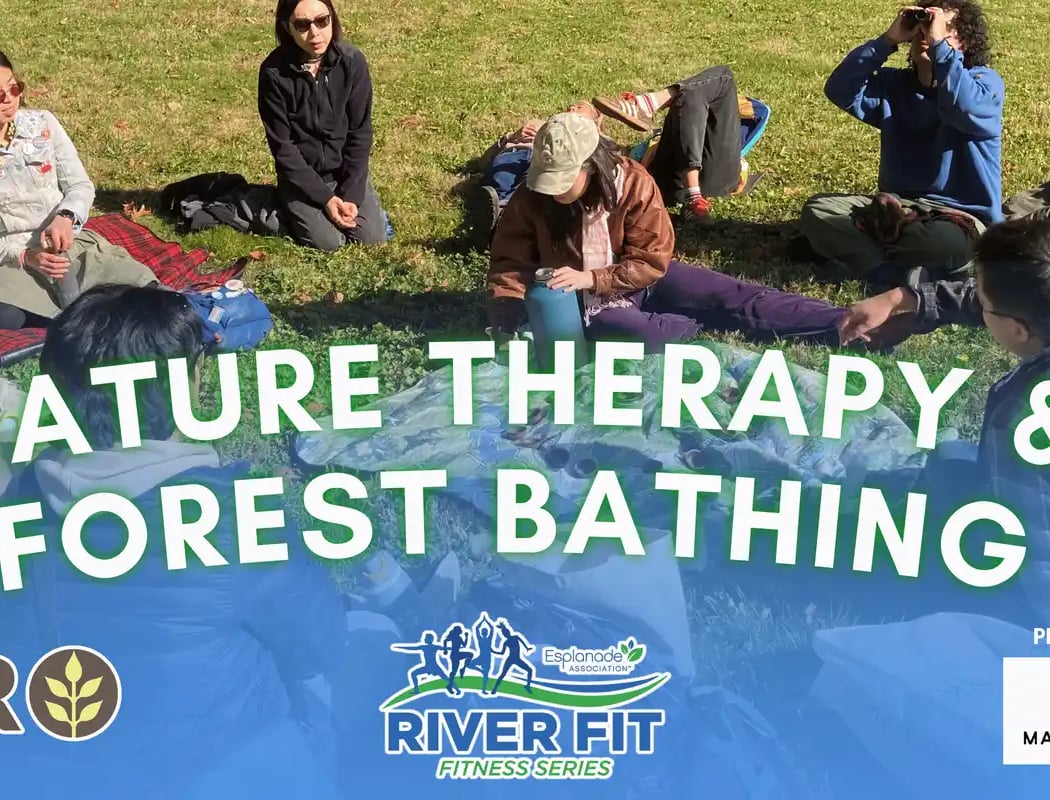 Nature Therapy & Forest Bathing 1