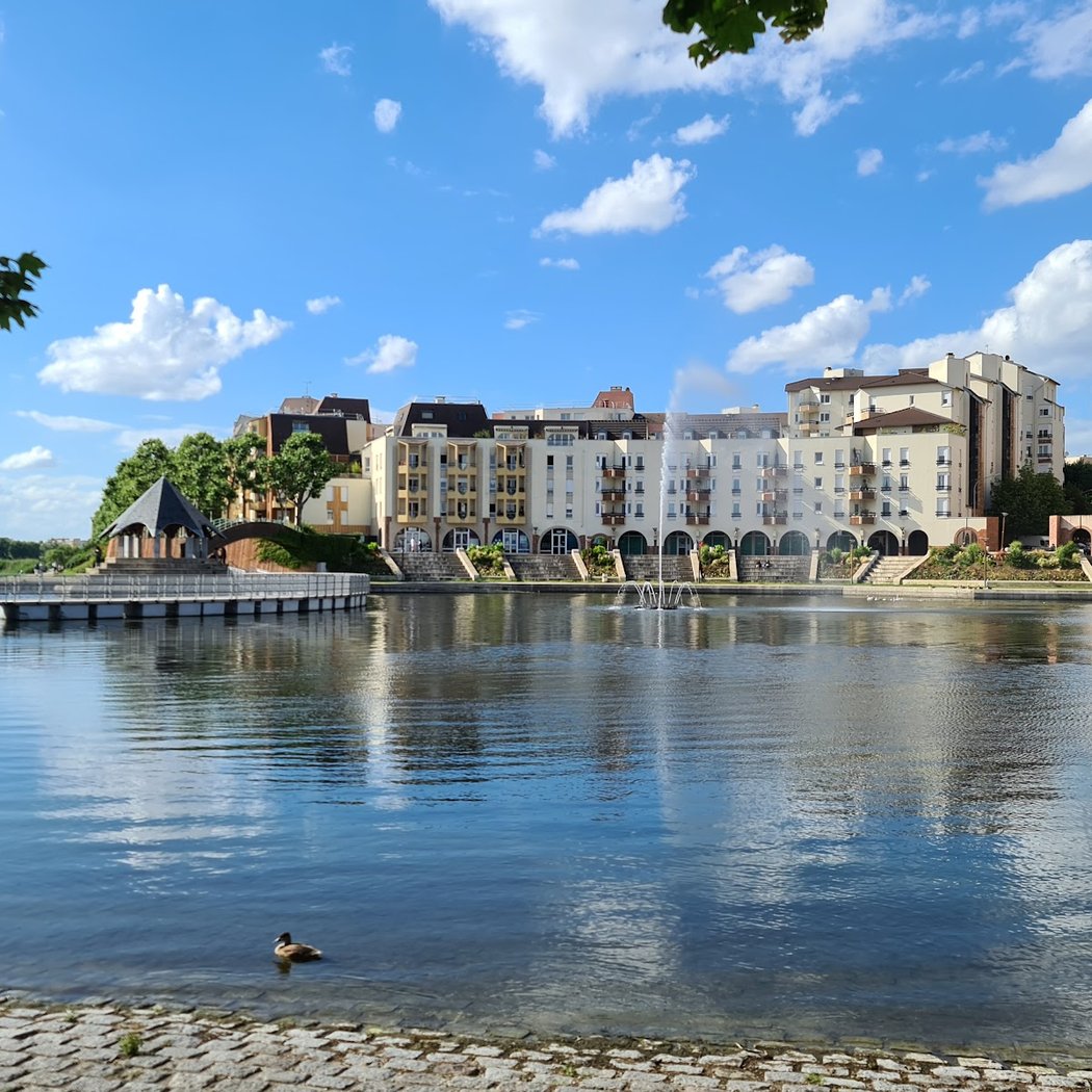 Balade ornithologique autour du lac de Créteil 5