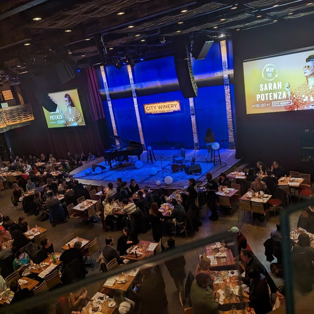 Lyle Lovett Concert 2