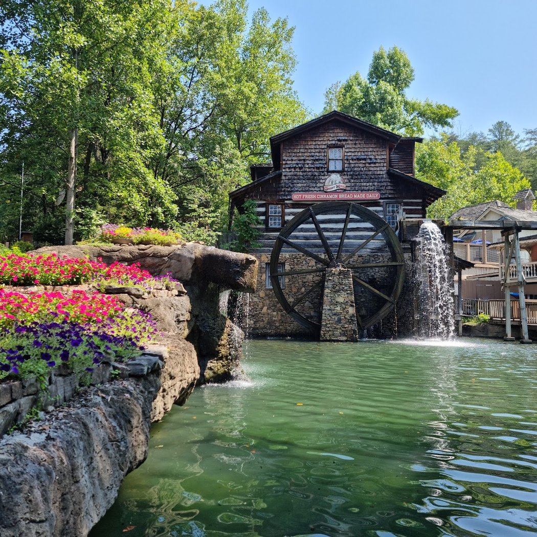 Dollywood 1