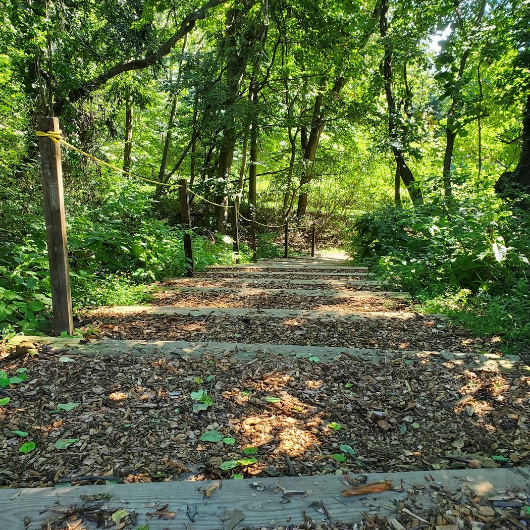 Guided Nature Walk 1