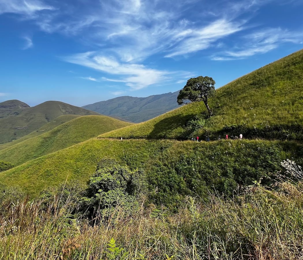 Native Trekking 1