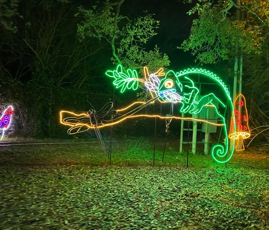 Glow in the Oaks 3