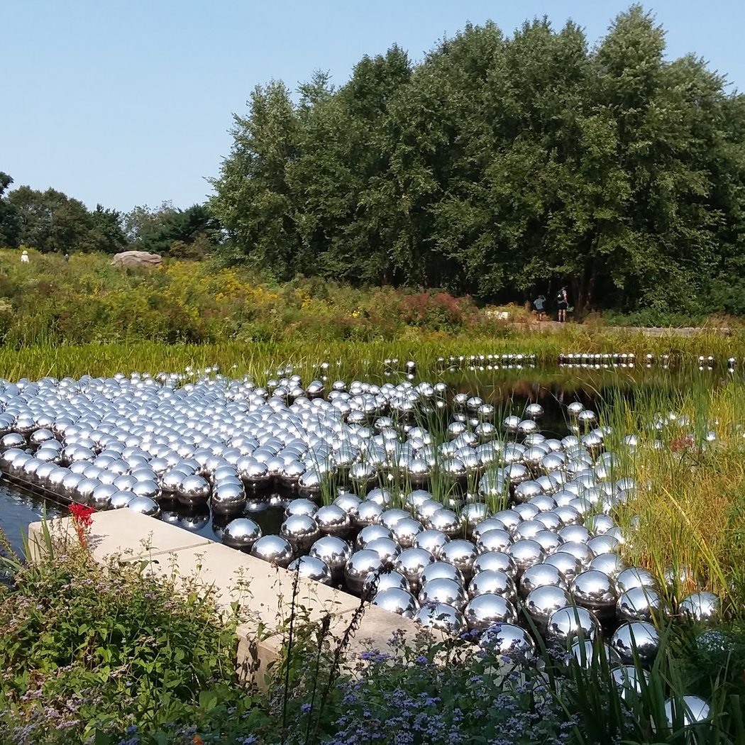 Native Plant Garden, NYBG 2